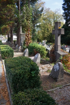 Cmentarz wojenny nr 346 w Krynicy Zdrój